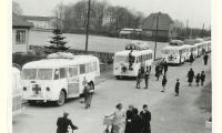 En række af hvide busser der hentede jøder hjem til Danmark fra Theresienstadt 