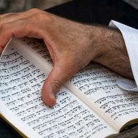 Torah med hånd 